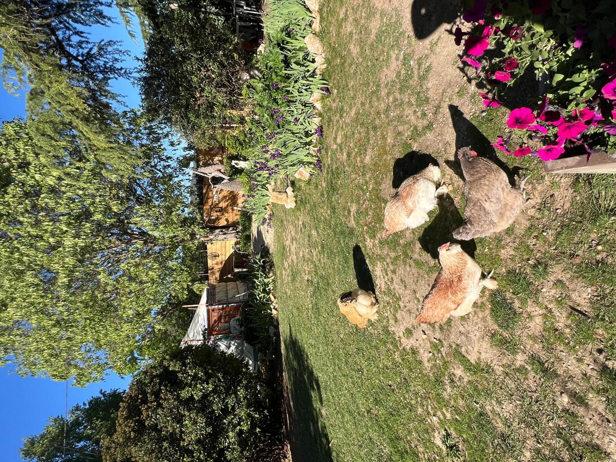 格雷乌莱班Bastide Du Bonheur Saint Donat住宿加早餐旅馆 外观 照片