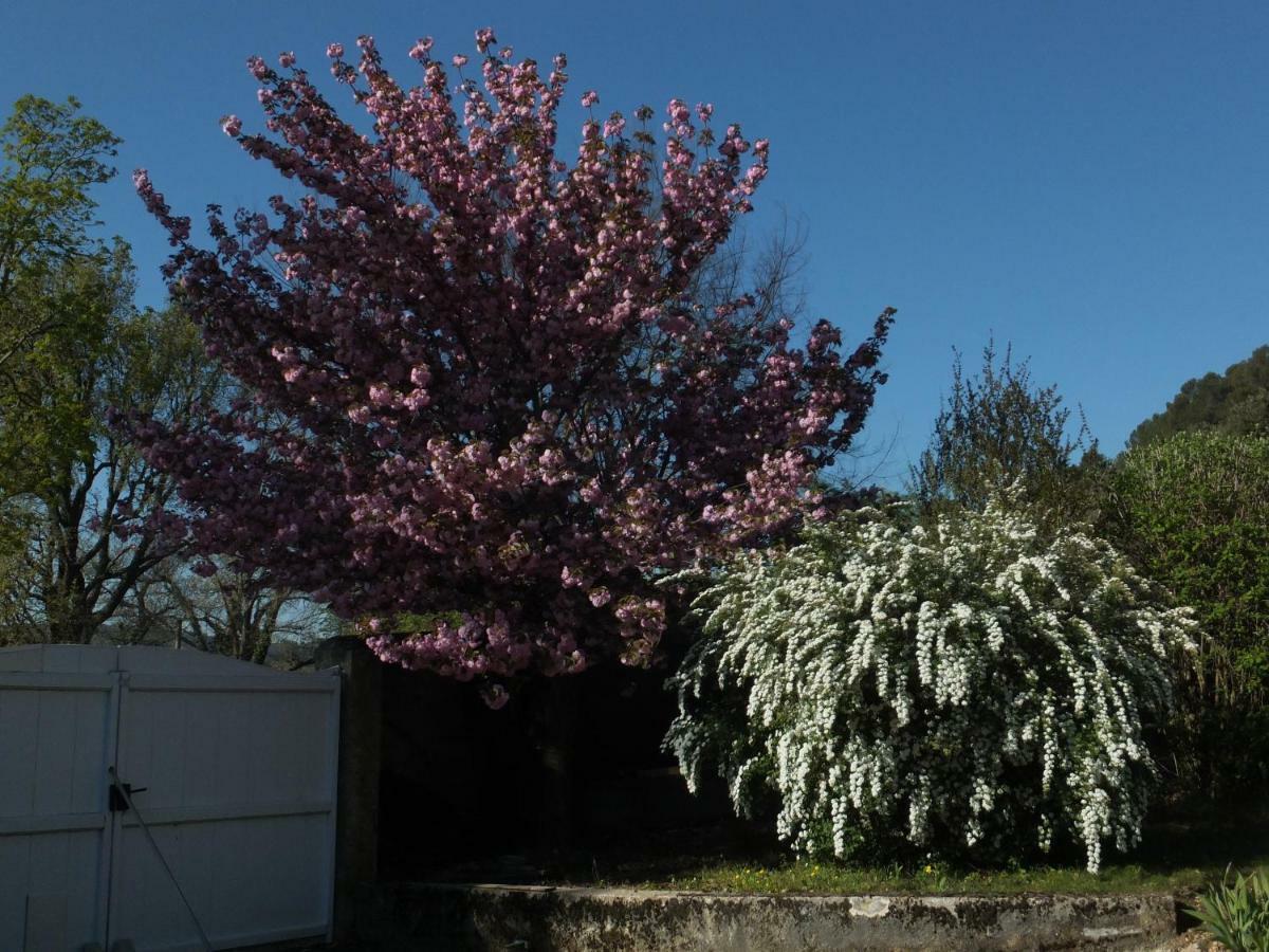 格雷乌莱班Bastide Du Bonheur Saint Donat住宿加早餐旅馆 外观 照片